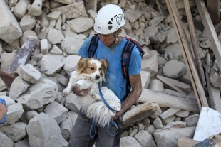 Emergenza terremoto, prosegue la raccolta in Canile