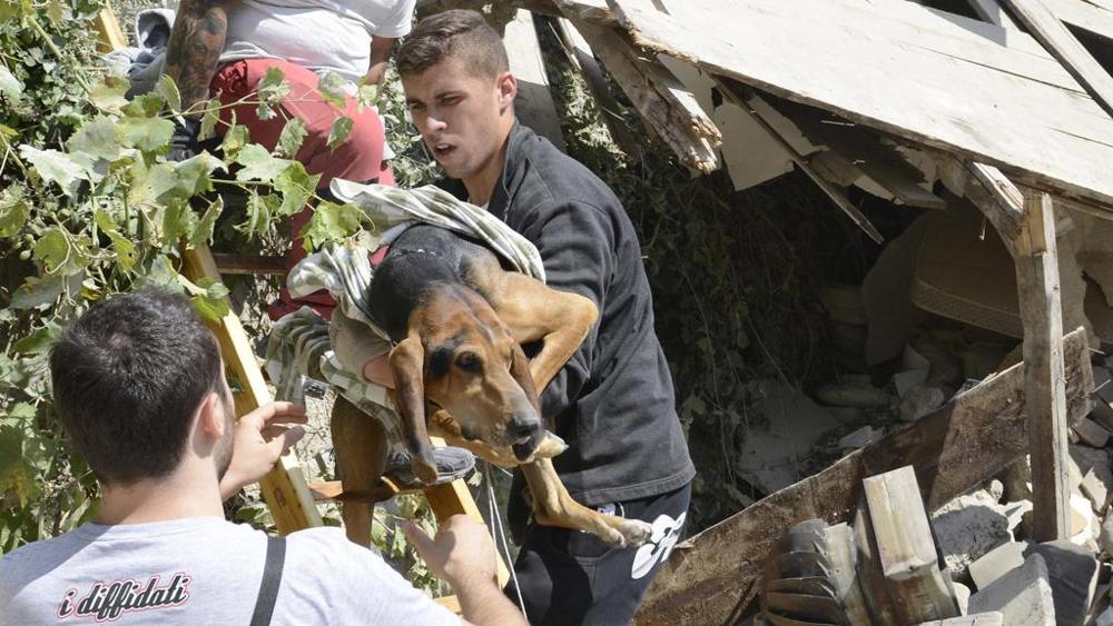 Terremoto, siamo punto di raccolta